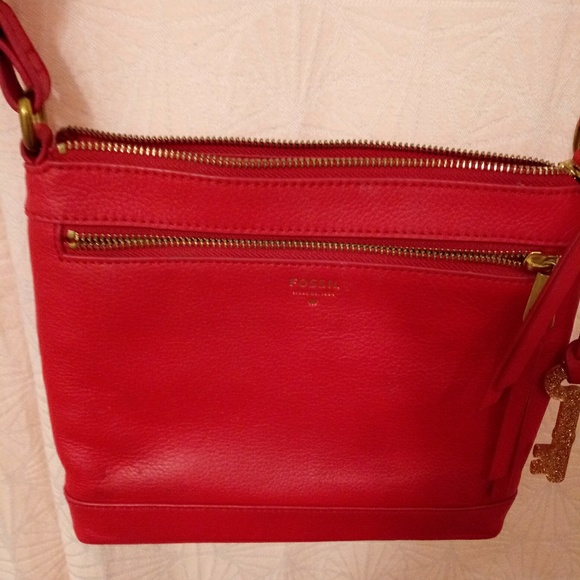 FOSSIL - Picture 2 of 4